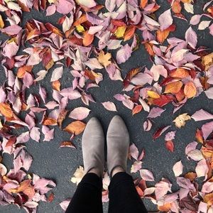 Meet your Posher, Sara